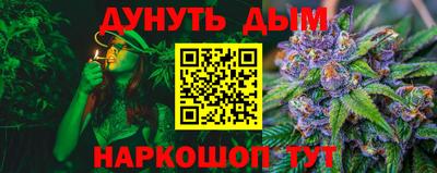 индика Долгопрудный