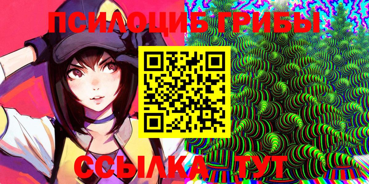 Псилоцибиновые грибы мицелий Выборг